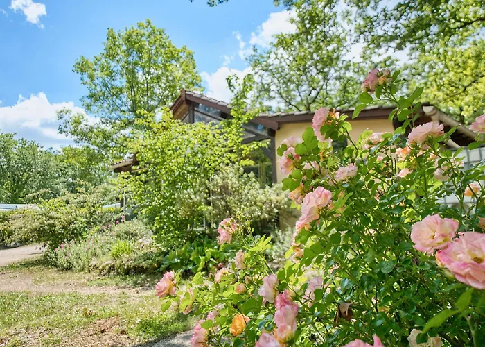 Grillon * Salignac Eyvigues